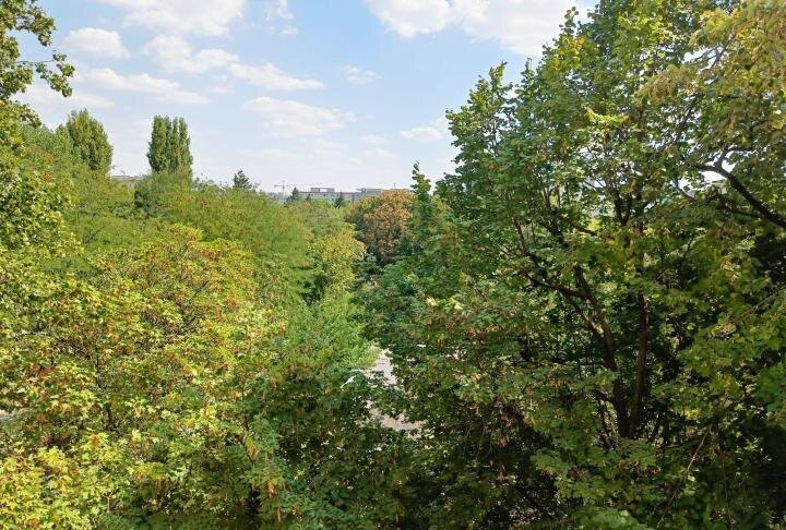 Aparatorii Patriei, Emil Racovita ideal credit